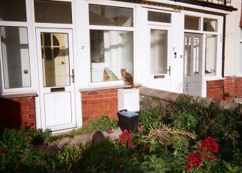 Zelf een nieuwe voordeur installeren: Wat heb je nodig?