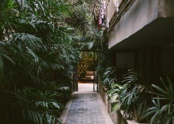 Handige tips voor het aanleggen van een tuinpad