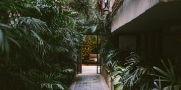 Handige tips voor het aanleggen van een tuinpad