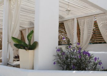 Hoe maak je een eigen tuinhuisje? Ontwerp-en bouwtips